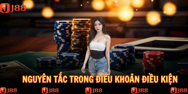 Các nguyên tắc đề ra liên quan tới tranh chấp