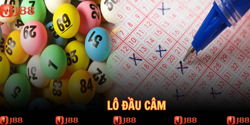 lo-dau-cam