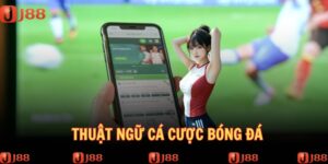 thuat-ngu-ca-cuoc-bong-da